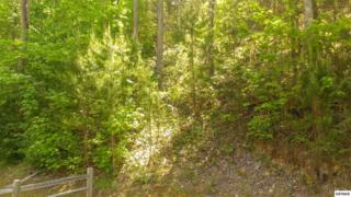 Lot 105 High Mountain Way , Gatlinburg, TN 37738 (#189310) :: The Terrell Team Lot 105 High Mountain Way , Gatlinburg, TN 37738 (#189310) :: The Terrell Team