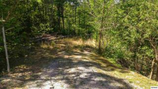 Lot 81 High Mountain Way , Gatlinburg, TN 37738 (#189313) :: The Terrell Team Lot 81 High Mountain Way , Gatlinburg, TN 37738 (#189313) :: The Terrell Team