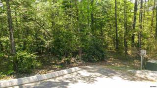 Lot 80 High Mountain Way , Gatlinburg, TN 37738 (#189314) :: The Terrell Team Lot 80 High Mountain Way , Gatlinburg, TN 37738 (#189314) :: The Terrell Team