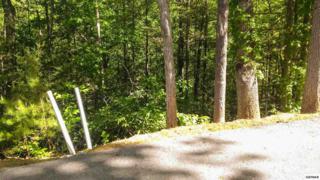 Lot 77 High Mountain Way , Gatlinburg, TN 37738 (#189315) :: The Terrell Team Lot 77 High Mountain Way , Gatlinburg, TN 37738 (#189315) :: The Terrell Team