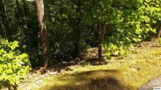 Lot 76 High Mountain Way , Gatlinburg, TN 37738 (#189316) :: The Terrell Team Lot 76 High Mountain Way , Gatlinburg, TN 37738 (#189316) :: The Terrell Team