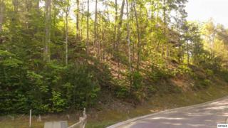 Lot 71 High Mountain Way , Gatlinburg, TN 37738 (#189317) :: The Terrell Team Lot 71 High Mountain Way , Gatlinburg, TN 37738 (#189317) :: The Terrell Team