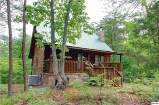 1641 Ridgecrest Drive A Stones Throw, Sevierville, TN 37876 (#189428) :: The Terrell Team 1641 Ridgecrest Drive A Stones Throw, Sevierville, TN 37876 (#189428) :: The Terrell Team