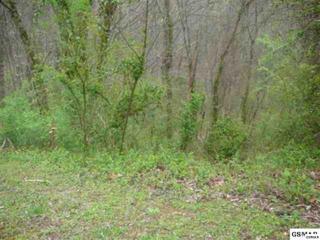 lot 3 Maggie Mack Lane , Sevierville, TN (#189570) :: The Terrell Team lot 3 Maggie Mack Lane , Sevierville, TN (#189570) :: The Terrell Team