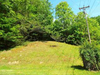 Lots 43 & 46 Catons Grove Road , Cosby, TN 37722 (#189614) :: The Terrell Team Lots 43 & 46 Catons Grove Road , Cosby, TN 37722 (#189614) :: The Terrell Team