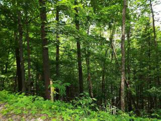 Lot 2 Stepping Stone Drive , Sevierville, TN 37862 (#189738) :: The Terrell Team Lot 2 Stepping Stone Drive , Sevierville, TN 37862 (#189738) :: The Terrell Team