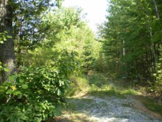 Lot 8A Youngblood Way , Cosby, TN 37722 (#189740) :: The Terrell Team Lot 8A Youngblood Way , Cosby, TN 37722 (#189740) :: The Terrell Team