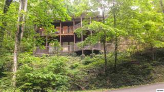 915 Daisy Ln , Gatlinburg, TN 37738 (#189838) :: The Terrell Team 915 Daisy Ln , Gatlinburg, TN 37738 (#189838) :: The Terrell Team