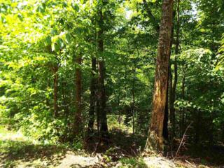 Ski View Dr W Lot 712, Sevierville, TN 37876 (#189887) :: The Terrell Team Ski View Dr W Lot 712, Sevierville, TN 37876 (#189887) :: The Terrell Team