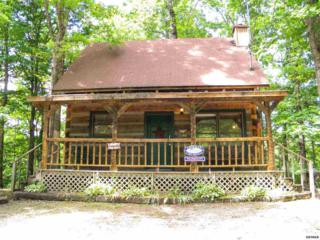 1914 Charles Lewis Way 1 Tranquility, Sevierville, TN 37876 (#189907) :: The Terrell Team 1914 Charles Lewis Way 1 Tranquility, Sevierville, TN 37876 (#189907) :: The Terrell Team
