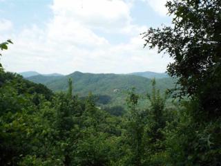 Lot 5 Hatcher Top Rd , Sevierville, TN 37862 (#190032) :: The Terrell Team Lot 5 Hatcher Top Rd , Sevierville, TN 37862 (#190032) :: The Terrell Team