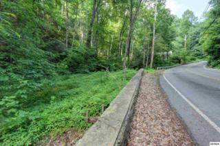 649 Ski Mountain Road 655 Ski Mountai, Gatlinburg, TN 37738 (#190294) :: The Terrell Team 649 Ski Mountain Road 655 Ski Mountai, Gatlinburg, TN 37738 (#190294) :: The Terrell Team