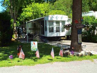 4229 East Parkway Lot 230, Gatlinburg, TN 37738 (#190478) :: The Terrell Team 4229 East Parkway Lot 230, Gatlinburg, TN 37738 (#190478) :: The Terrell Team