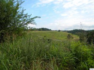 Lot 2 Baldwins View Drive , New Market, TN (#190513) :: The Terrell Team Lot 2 Baldwins View Drive , New Market, TN (#190513) :: The Terrell Team