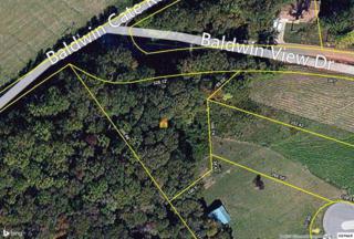 Lot 20 Baldwin View Dr Lot 20, New Market, TN 37820 (#190530) :: The Terrell Team Lot 20 Baldwin View Dr Lot 20, New Market, TN 37820 (#190530) :: The Terrell Team