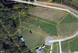 Lot 17 Walk in The Clouds Court Lot 17, New Market, TN 37820 (#190532) :: The Terrell Team Lot 17 Walk in The Clouds Court Lot 17, New Market, TN 37820 (#190532) :: The Terrell Team