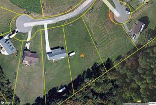 Lot 12 Walk in The Clouds Court Lot 12, New Market, TN 37820 (#190533) :: The Terrell Team Lot 12 Walk in The Clouds Court Lot 12, New Market, TN 37820 (#190533) :: The Terrell Team
