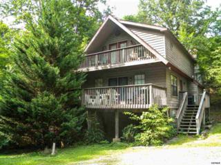 2711 Timber Way Little Green Br, Pigeon Forge, TN 37863 (#190692) :: The Terrell Team 2711 Timber Way Little Green Br, Pigeon Forge, TN 37863 (#190692) :: The Terrell Team