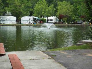 4229 E Parkway Lot 342, Gatlinburg, TN 37738 (#190728) :: The Terrell Team 4229 E Parkway Lot 342, Gatlinburg, TN 37738 (#190728) :: The Terrell Team