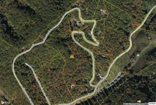 Boone Boone Acres Ln , Sevierville, TN 37876 (#190732) :: The Terrell Team Boone Boone Acres Ln , Sevierville, TN 37876 (#190732) :: The Terrell Team