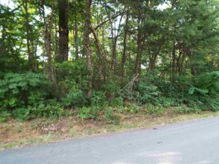Lot 102 A Shell Mountain Road , Sevierville, TN 37862 (#190791) :: The Terrell Team Lot 102 A Shell Mountain Road , Sevierville, TN 37862 (#190791) :: The Terrell Team