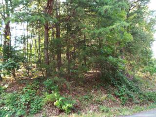 Lot 097A Shell Mountain Road , Sevierville, TN 37862 (#190796) :: The Terrell Team Lot 097A Shell Mountain Road , Sevierville, TN 37862 (#190796) :: The Terrell Team