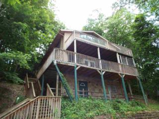 1441 S Baden Dr , Gatlinburg, TN 37738 (#191050) :: The Terrell Team 1441 S Baden Dr , Gatlinburg, TN 37738 (#191050) :: The Terrell Team