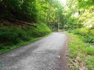 Lot 1182 Walnut Ct , Sevierville, TN 37876 (#191506) :: The Terrell Team Lot 1182 Walnut Ct , Sevierville, TN 37876 (#191506) :: The Terrell Team