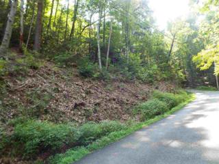 Lot 1138 Bobs Pass , Sevierville, TN 37876 (#191507) :: The Terrell Team Lot 1138 Bobs Pass , Sevierville, TN 37876 (#191507) :: The Terrell Team