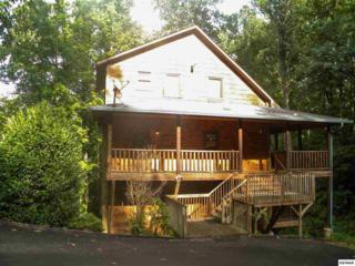 1230 Hemlock Dr Making Memories, Gatlinburg, TN 37738 (#191802) :: The Terrell Team 1230 Hemlock Dr Making Memories, Gatlinburg, TN 37738 (#191802) :: The Terrell Team