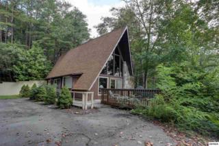 320 Browns Ridge Road , Gatlinburg, TN 37738 (#191852) :: The Terrell Team 320 Browns Ridge Road , Gatlinburg, TN 37738 (#191852) :: The Terrell Team