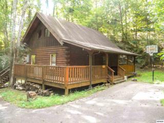 2841 Easy St , Sevierville, TN 37876 (#192096) :: The Terrell Team 2841 Easy St , Sevierville, TN 37876 (#192096) :: The Terrell Team