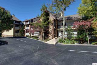 1130 Ski View Drive Unit 305, Gatlinburg, TN 37738 (#192544) :: The Terrell Team 1130 Ski View Drive Unit 305, Gatlinburg, TN 37738 (#192544) :: The Terrell Team