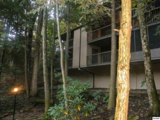 1235 Ski Mountain Rd Unit 625, Gatlinburg, TN 37738 (#192656) :: The Terrell Team 1235 Ski Mountain Rd Unit 625, Gatlinburg, TN 37738 (#192656) :: The Terrell Team