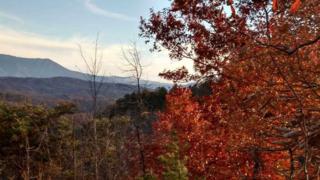 Lot 10 Blackthorn Trl. , Sevierville, TN 37876 (#193278) :: The Terrell Team Lot 10 Blackthorn Trl. , Sevierville, TN 37876 (#193278) :: The Terrell Team