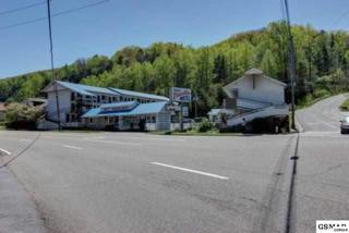 310 East Parkway , Gatlinburg, TN 37738 (#193573) :: The Terrell Team 310 East Parkway , Gatlinburg, TN 37738 (#193573) :: The Terrell Team