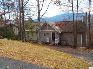 803 Village Place , Gatlinburg, TN 37738 (#193653) :: The Terrell Team 803 Village Place , Gatlinburg, TN 37738 (#193653) :: The Terrell Team