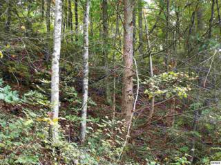 Headrick Lead , Sevierville, TN 37862 (#193656) :: The Terrell Team Headrick Lead , Sevierville, TN 37862 (#193656) :: The Terrell Team
