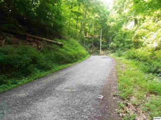Lot 0545 Deep Hollow Ct. , Gatlinburg, TN 37738 (#193703) :: The Terrell Team Lot 0545 Deep Hollow Ct. , Gatlinburg, TN 37738 (#193703) :: The Terrell Team
