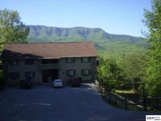 429 Deer Path Lane Unit 205, Gatlinburg, TN 37738 (#193717) :: The Terrell Team 429 Deer Path Lane Unit 205, Gatlinburg, TN 37738 (#193717) :: The Terrell Team