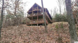2715 Overholt Trail Above And Beyon, Sevierville, TN 37876 (#193870) :: The Terrell Team 2715 Overholt Trail Above And Beyon, Sevierville, TN 37876 (#193870) :: The Terrell Team