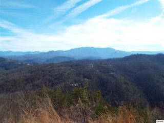 Lot 49 Enclave Park Way , Galinburg, TN 37738 (#194069) :: The Terrell Team Lot 49 Enclave Park Way , Galinburg, TN 37738 (#194069) :: The Terrell Team