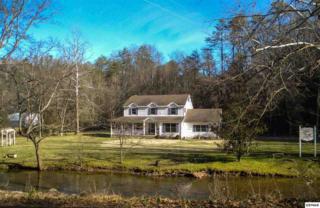 3815 Old Birds Creek Road Pokeberry Hollo, Sevierville, TN 37876 (#194108) :: The Terrell Team 3815 Old Birds Creek Road Pokeberry Hollo, Sevierville, TN 37876 (#194108) :: The Terrell Team