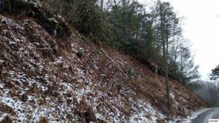 Lot 21 Sugar Maple Loop Rd , Sevierville, TN 37862 (#194270) :: The Terrell Team Lot 21 Sugar Maple Loop Rd , Sevierville, TN 37862 (#194270) :: The Terrell Team