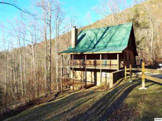 2980 Kulpan Way , Sevierville, TN 37862 (#194450) :: The Terrell Team 2980 Kulpan Way , Sevierville, TN 37862 (#194450) :: The Terrell Team