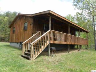 3333 Bogard Road Parcels 034.04, Cosby, TN 37722 (#194472) :: The Terrell Team 3333 Bogard Road Parcels 034.04, Cosby, TN 37722 (#194472) :: The Terrell Team
