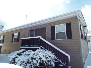 5355 East Parkway Lot 127, Gatlinburg, TN 37738 (#194629) :: The Terrell Team 5355 East Parkway Lot 127, Gatlinburg, TN 37738 (#194629) :: The Terrell Team