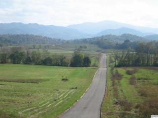 Lot 41 Secluded River Cir 1245 Secluded R, Newport, TN 37842 (#194720) :: The Terrell Team Lot 41 Secluded River Cir 1245 Secluded R, Newport, TN 37842 (#194720) :: The Terrell Team