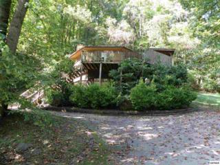 1157 Villa Drive , Gatlinburg, TN 37738 (#181838) :: The Terrell Team 1157 Villa Drive , Gatlinburg, TN 37738 (#181838) :: The Terrell Team
