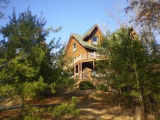 610 Falcon Court 609 Falcon Cour, Gatlinburg, TN 37738 (#186611) :: The Terrell Team 610 Falcon Court 609 Falcon Cour, Gatlinburg, TN 37738 (#186611) :: The Terrell Team